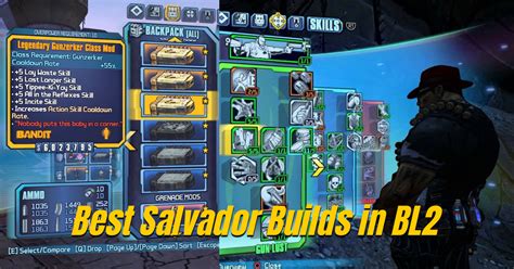 most fun borderlands 2 build.